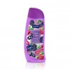DUS JELI ORMAN MEYV.750ml 1 Adet