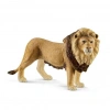 Erkek Aslan