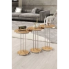 Gümüş Terra Sehpa Seti Ceviz 4lü