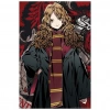 Hermione Granger Figür ve 300 Parça Puzzle