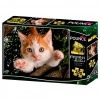 Kedi Pençesi Puzzle 100 Parça