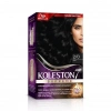 Kit 2/0 Boya Siyah 1 Adet