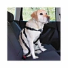 Köpek Emniyet Kemeri Large 70-90 Cm