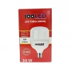 LED 30 W Torch Ampul