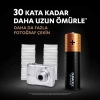 NessiWorld 4Lü Optimum AA Kalem Pil