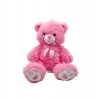 PL50157 40 CM RENKLİ AYILAR