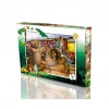 Puzzle 50 Parça