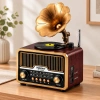 Retro Gramofon Radyo Bluetooth USB Şarjlı (AM/FM/SW)