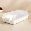 Şeffaf Kapaklı Buzdolabı Organizeri 320x183x103 mm