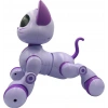 SH40194 U/K DANS EDEN ROBOT KEDİ