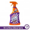 Sprey Kireç Ve Kir 750ml 1 Adet