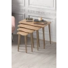 Torna Zigon Sehpa Çam Kahverengi 4lü