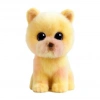 TY37407 SEVİMLİ KÖPEK YELLOW REG