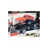 Wster WS-300SL Oto Muzik Calar