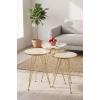 Zigon Sehpa Ve Orta Sehpa Elips Set Gold Krem Tel