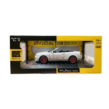 1/24 Model Araba