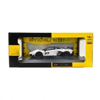 1/24  Model Araba