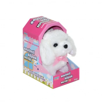 47100 Sevimli Köpek Maltese -