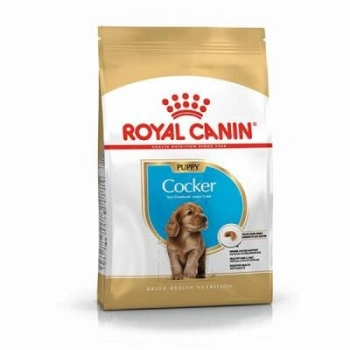 Cocker Spaniel Puppy Yavru Köpek Maması 3 Kg