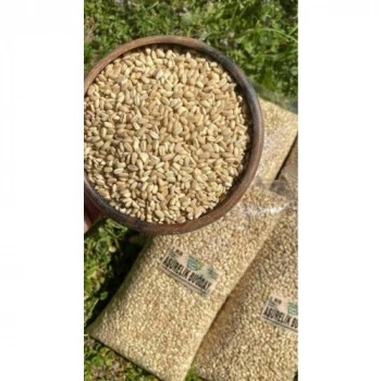 ESDUR AŞURELİK BUĞDAY 1 KG