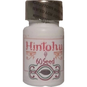 Hintohu Kapsül