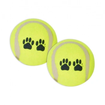 WP-6331 Pet Tenis Oyun Topu 2 li 1 Adet