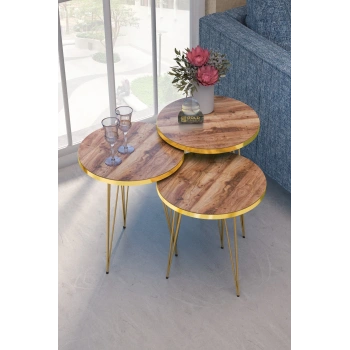 Zigon Sehpa Gold Ceviz Tel