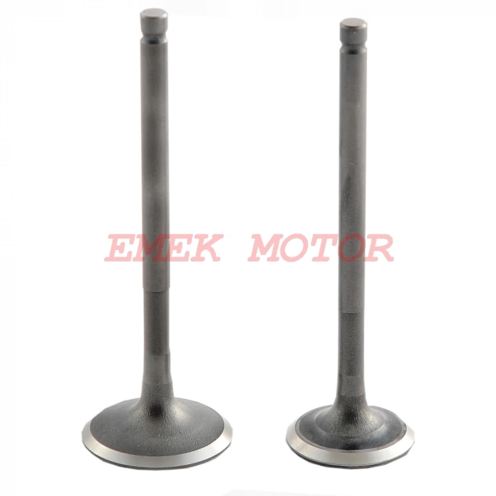 ACTİVA- HERO PLEASURA SÜBAP