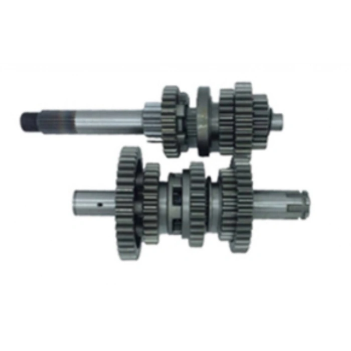 TVS RAİDER ŞANZUMAN