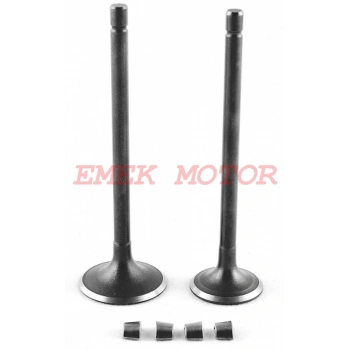 CG 250 SÜBAP TAKIMI DQ