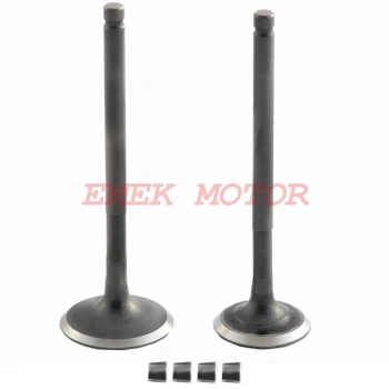 SPACY - ALPHA - SİPONTİNİ SÜBAP DQ