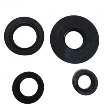 SPACY-SPONTİNİ KEÇE TAKIMI