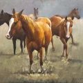 Bozkırın Özgür Atları Yağlı Boya Tablosu