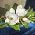 Magnolias Oil Painting