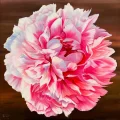 Pink Peony Flower Oil Painting