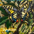Butterfly in the Greens Oil Painting