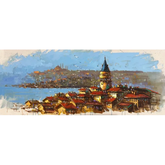 View of Istanbul from Galata Oil Painting