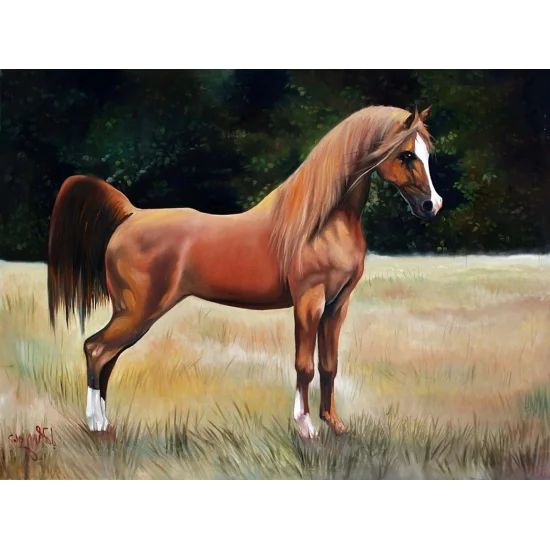 Kahverengi At Yağlı Boya Tablosu