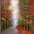 Silent Forest Road Oil Painting