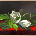 Magnolia in Dreams Oil Painting