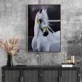 Beyaz Atın İfadesi Siparişe Özel Yağlı Boya Tablo
