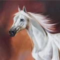 Freedom Traces of the Horse Oil Painting