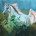 White Horse Free Run Oil Painting