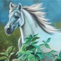 White Horse Free Run Oil Painting