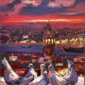 Birds Looking At Galata Oil Painting