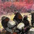 Pigeons in Istanbul Oil Painting
