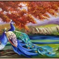 Grace of Peacocks Oil Painting