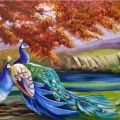 Grace of Peacocks Oil Painting