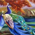 Grace of Peacocks Oil Painting
