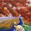 Grace of Peacocks Oil Painting
